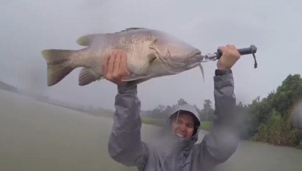 Video: Geobass Papua New Guinea
